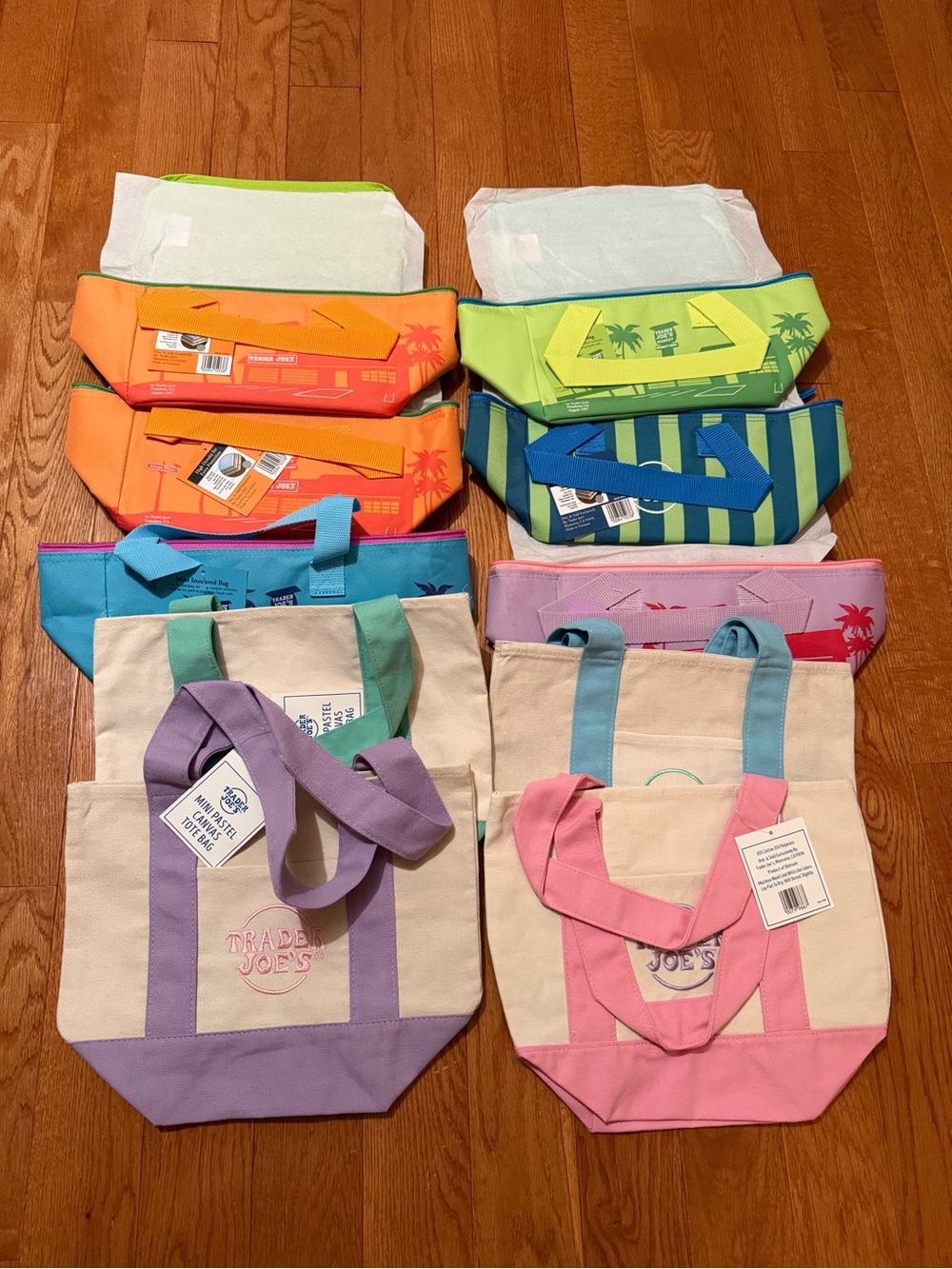 Lot of 10 Trader Joe's 6 Insulated Mini Lunch 4 Pastel Color Canvas Tote Bags